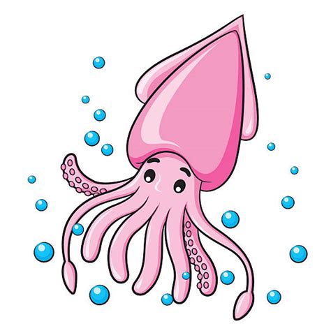 Royalty Free Squid Clip Art, Vector Images & Illustrations - iStock