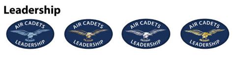 Air Cadet Badges and Ranks