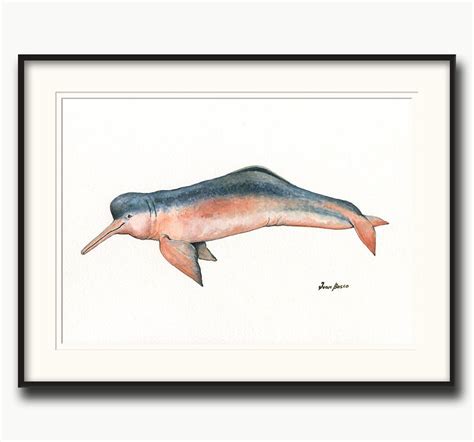 Amazon River Dolphin Painting Pink Dolphin Watercolor - Etsy