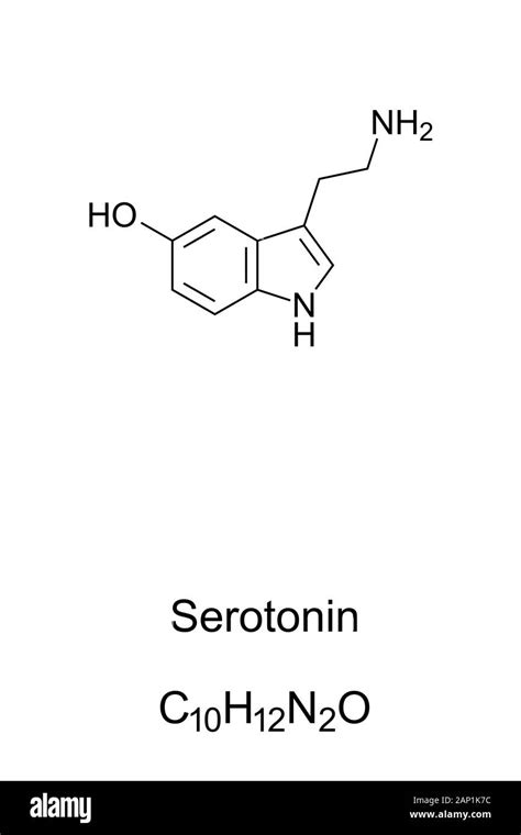 Serotonin Molecule Structure