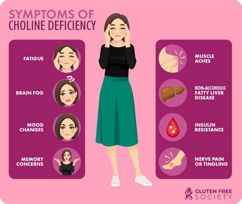 Choline Deficiency & Gluten - Gluten-Free Society