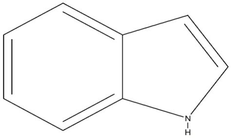 Alkaloid Structure