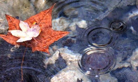 Ripples on a Pond: Understanding and Coping with Secondary Loss | TAPS