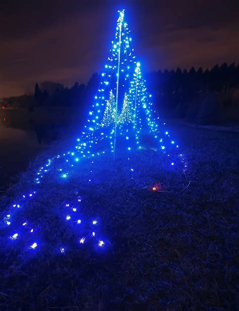 Blue Lights Christmas Tree Free Stock Photo - Public Domain Pictures