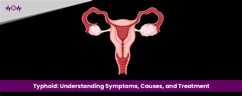 Enlarged Uterus: Symptoms, Causes And Treatments - WoW Health