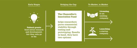 Chancellor’s Innovation Fund Catalyzes 6 Promising Projects | NC State News