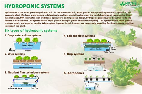 Hydroponic System Definition Introduction Advantages - Niche Agriculture