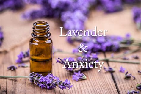 Can Lavender Be Used to Combat Anxiety?