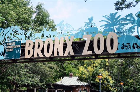 bronx zoo- june 2012 | Hello from NYC