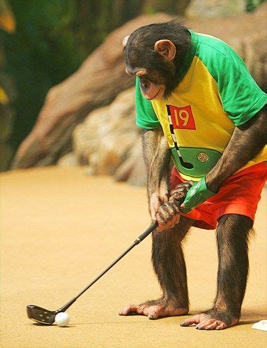 59 best Animals on a golf Course images on Pinterest | Golf courses ...