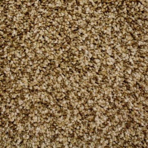 Shop STAINMASTER PetProtect Nitro Galaxy Textured Indoor Carpet at Lowes.com