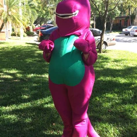 barney costume Costumes | Poshmark