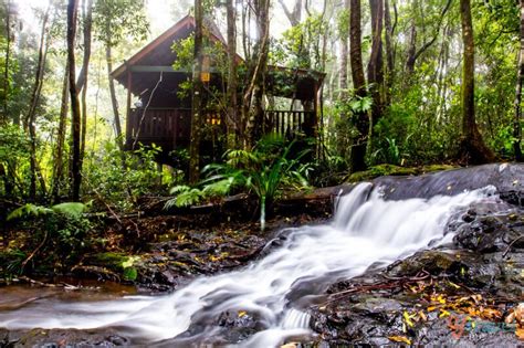 Springbrook National Park - the Green behind the Gold Coast