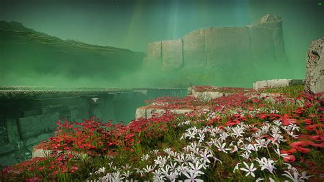 Garden of Salvation : r/destiny2, destiny garden of salvation HD wallpaper | Pxfuel