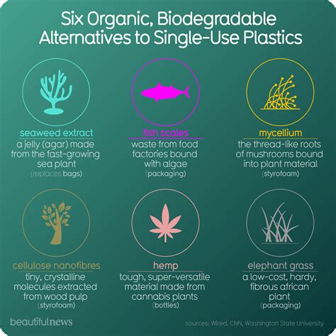 Single Use Plastic Alternatives - Spesanut