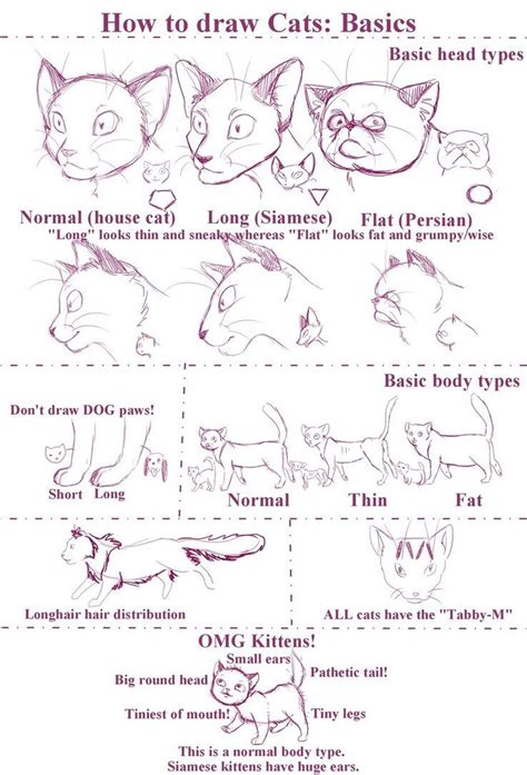 How to draw Cats by ~Stock-Heil on deviantART | Cat drawing tutorial ...