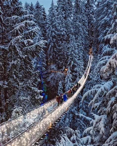 Canyon Lights at Capilano Suspension Bridge Park returns to brighten ...