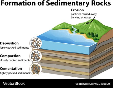 How Sedimentary Rocks Are Formed For Kids