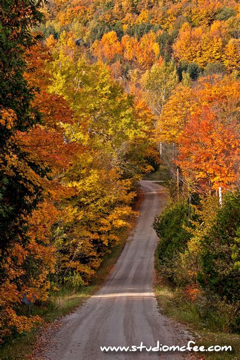 Studio McFee: Autumn Roads in Ontario | Autumn landscape, Autumn scenery, Landscape