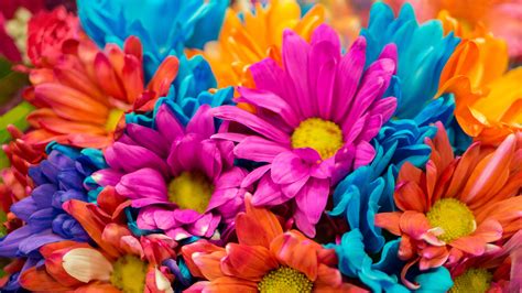 Colorful Flowers 4K Wallpapers | HD Wallpapers | ID #28638