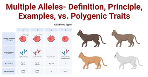 Gene Interactions: Types, Examples, Mapping, Significances