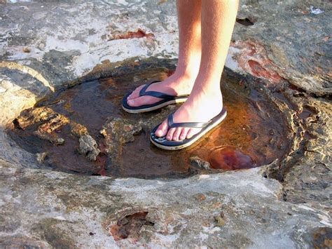 Dinosaur Footprints at Gantheaume Point in Broome | Amusing Planet