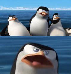 "penguin" Meme Templates - Imgflip