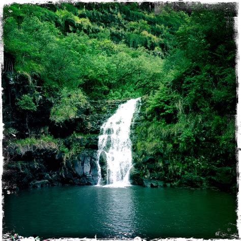 Waimea falls. Oahu. North Shore | Travel & places I have visited. | P…