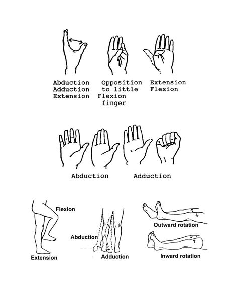 Figure 2-17. Range-of-motion exercises for the fingers. - Basic Patient Care Procedures