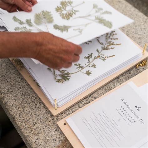 How To Press Plants to make a Herbarium | Pressed flower crafts, Flower press book, Dried and ...