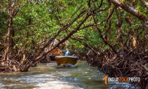 Tourist Boat Ride Through Mangrove Forest At Baratang Island Andaman | India Stock Photo