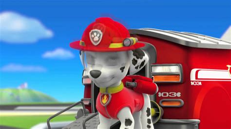 Paw Patrol Character - Spot Marshall - YouTube