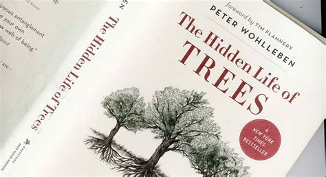 The Hidden Life of Trees book is a must-read for all nature-lovers!