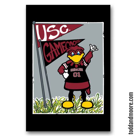 South Carolina Gamecocks Mascot Flag – ToddandMoore