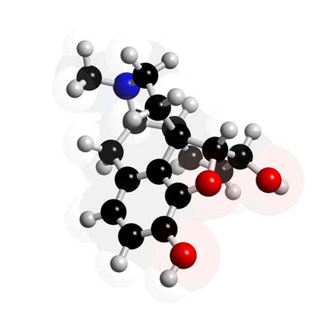 3d structure of morphine