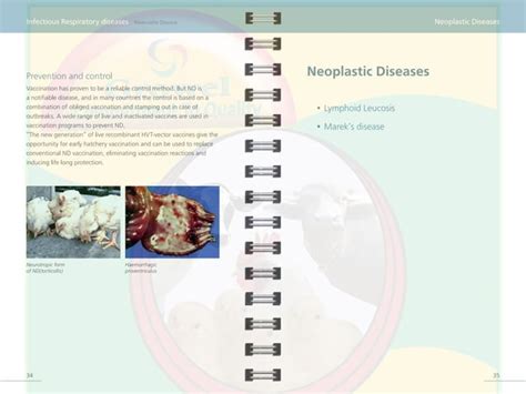 Poultry Diseases Cause, Diagnosis, Control & Treatment