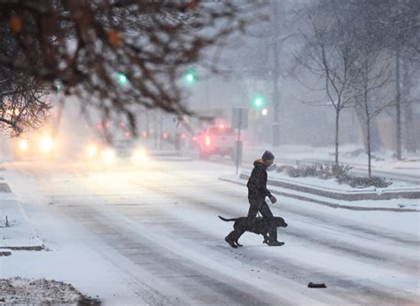 First Snow in Denver, CO After A Record-Breaking 232 Days - SnowBrains