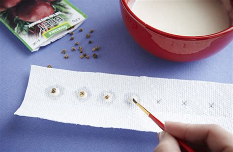 DIY Seed Tape From P&Geveryday - Chaotically Creative