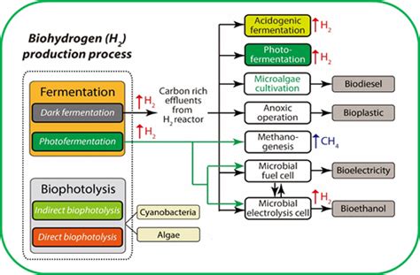 IJMS | Free Full-Text | Biohydrogen Production: Strategies to Improve Process Efficiency through ...