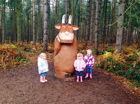 Gruffalo's Child Trail Delemere Forest