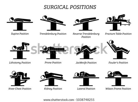 832 Surgical position: immagini, foto stock e grafica vettoriale | Shutterstock