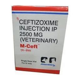 Ceftizoxime - Ceftizoxime antibiotic Latest Price, Manufacturers & Suppliers