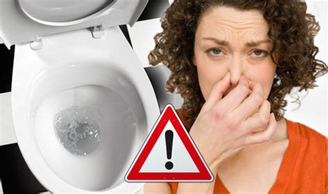 Bowel cancer symptoms: Bad smell poo sign of healthy stool | Express.co.uk
