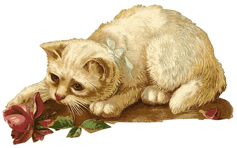 무료 일러스트: 고양이, 새끼 고양이, 로 사, 꽃, 동물, 애완 동물, 빈티지 - Pixabay의 무료 이미지 - 1827211