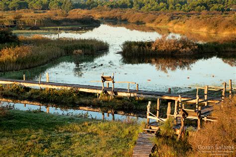 Vrana Lake - Dalmatia’s kingdom of birds - Explore Croatia