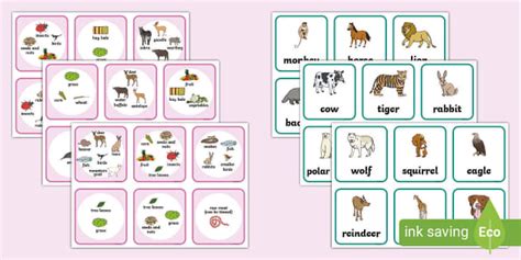 Animals and their Diets Matching Activity (teacher made)