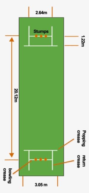 Cricket Field Dimensions Layout