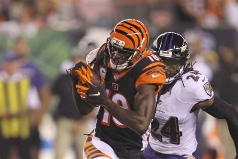 Bengals vs Ravens odds, betting trends, expert picks and predictions - Cincy Jungle