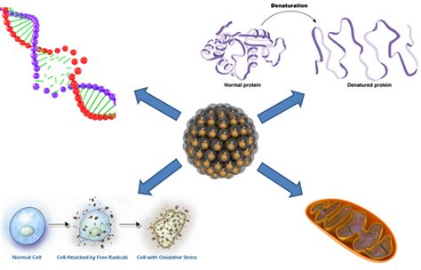 ASDN - Life - Friends or Foes: How Can We Predict Nanoparticles' Toxicity?