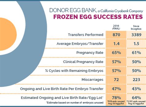 Frozen Donor Egg Success Rates